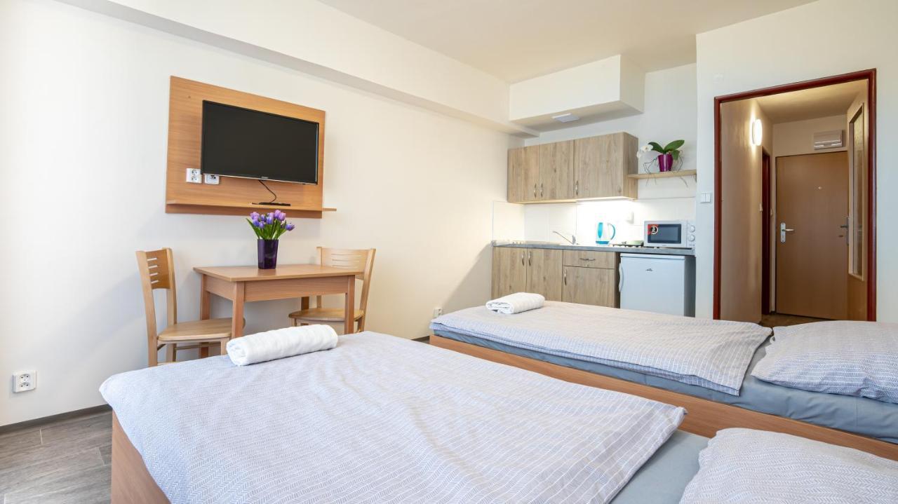Apartmany A Studia Zamecky Park Litvínov 외부 사진